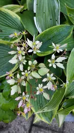 IMG_20171019_175920.webp