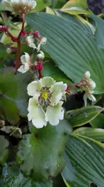 IMG_20171019_175939.webp