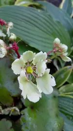 IMG_20171019_180010.webp