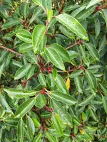 IMG_20171021_162817.webp