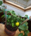 DSC04189.JPG