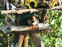 DSCF0507 (2).webp