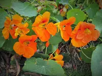 DSCF0456 (2).webp