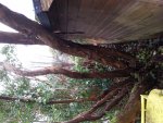 20171023_131335.jpg