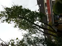 20171023_131258.webp