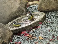 DSCF0515 (2).webp