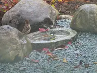 DSCF0531 (2).webp