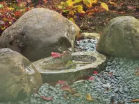 DSCF0532 (2).webp