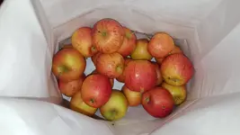 20171024_014416.webp