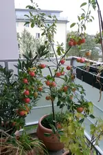 20171007_181641.2.webp