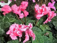DSCI2277.webp