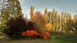 IMG_20171018_162556109_HDR.webp
