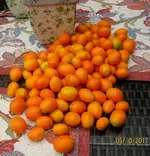 IMG_9158.JPG