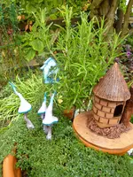 Pilze_Haus.webp