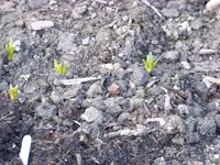 100_6229.webp