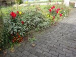 DSC02414.jpg