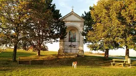 IMG_20171017_170607322.webp