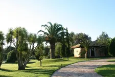Garten2017.webp