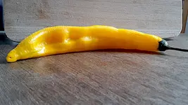 aji_guyana.webp