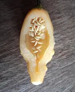 aji_fantasy_aufgeschnitten.webp