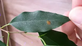 20171025_162825.jpg