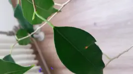 20171025_162916.webp