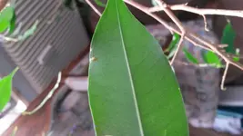 20171025_163200.jpg