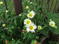IMG_5826.webp