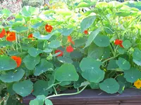 IMG_5832.webp