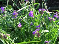 IMG_5830.webp