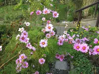 IMG_5829.webp