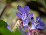 image009.jpg