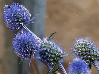 image018.webp