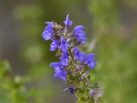 image007.webp