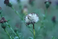 IMG_0089.jpg