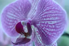 IMG_0053.webp
