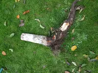 20171028_164644.jpg