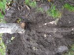 20171028_160920.jpg