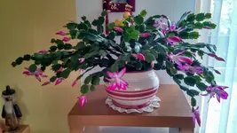 IMG_20171029_132136782_HDR.webp