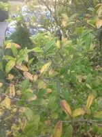 20171029-165618.jpg