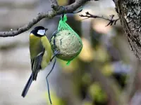 image004.webp