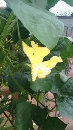 IMG_20171029_110954.webp