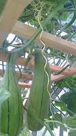 IMG_20171029_111032.webp