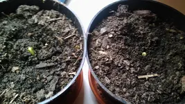 IMG_20171030_110626.webp