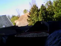 snapshot (1).webp