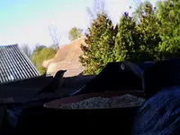 snapshot (5).webp
