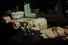 India_Giralda_Estrella_sunny spot_living-room_800.webp
