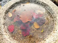 DSCF0560 (2).webp