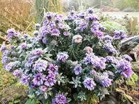 DSCF0544 (2).webp