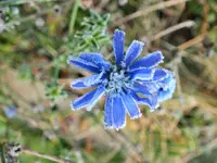 DSCF0552 (2).webp
